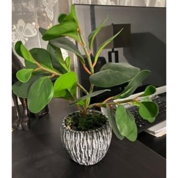 New Artificial Plants Real Looking and Touching Fake Plant Evergreen Plastic - Picture 2 of 2